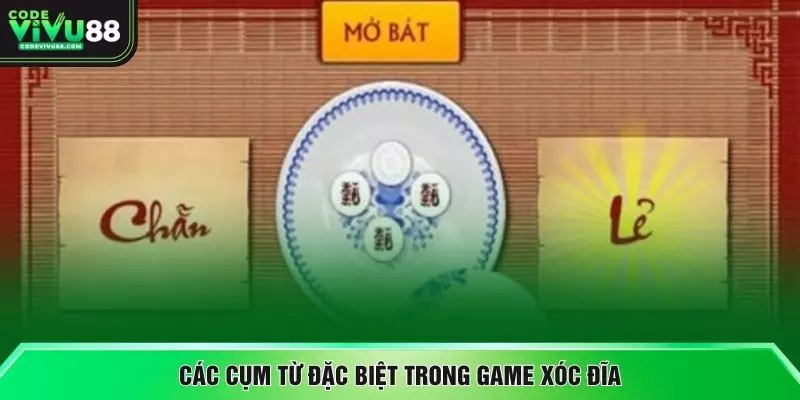 Các cụm từ đặc biệt trong game xóc đĩa