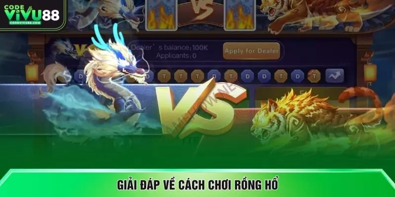Giải đáp về cách chơi rồng hổ