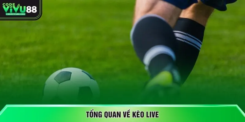Tổng quan về kèo live